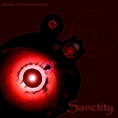 Cover of Sanctity
